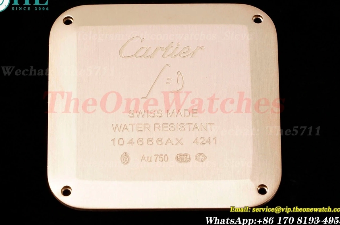 Santos RG Dumont LE Quartz AF Blk Dia Dial Silver 0228